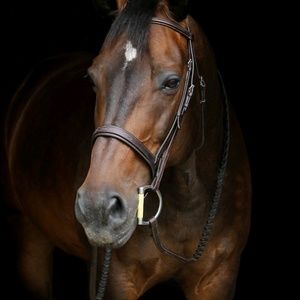 Meet your Posher, Eva